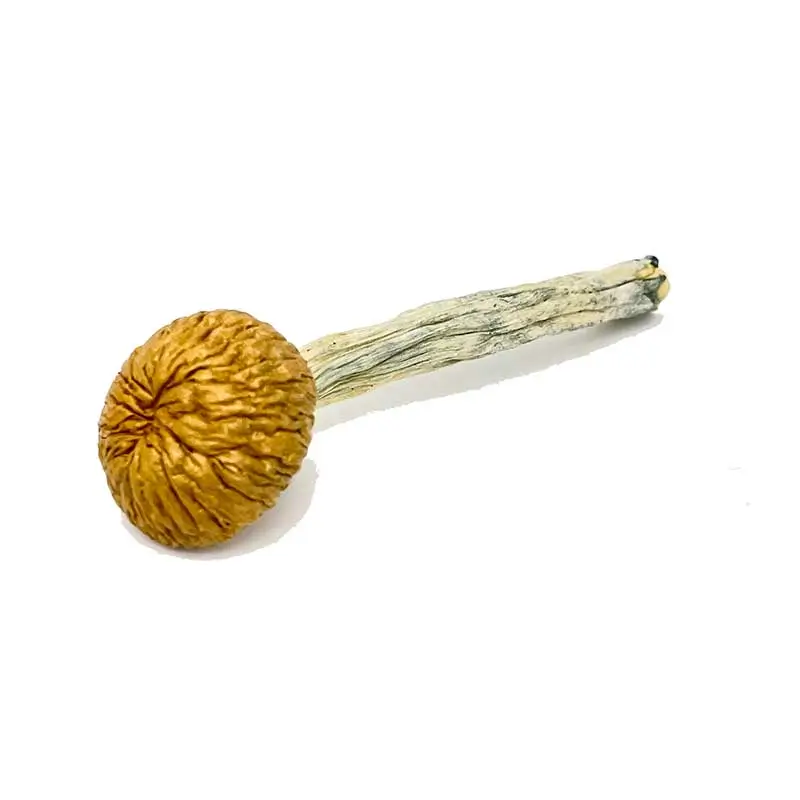 cambodian-mushrooms-0